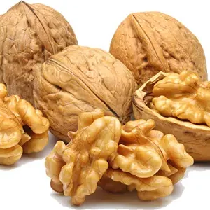 Walnut (Sabit Akhrot)